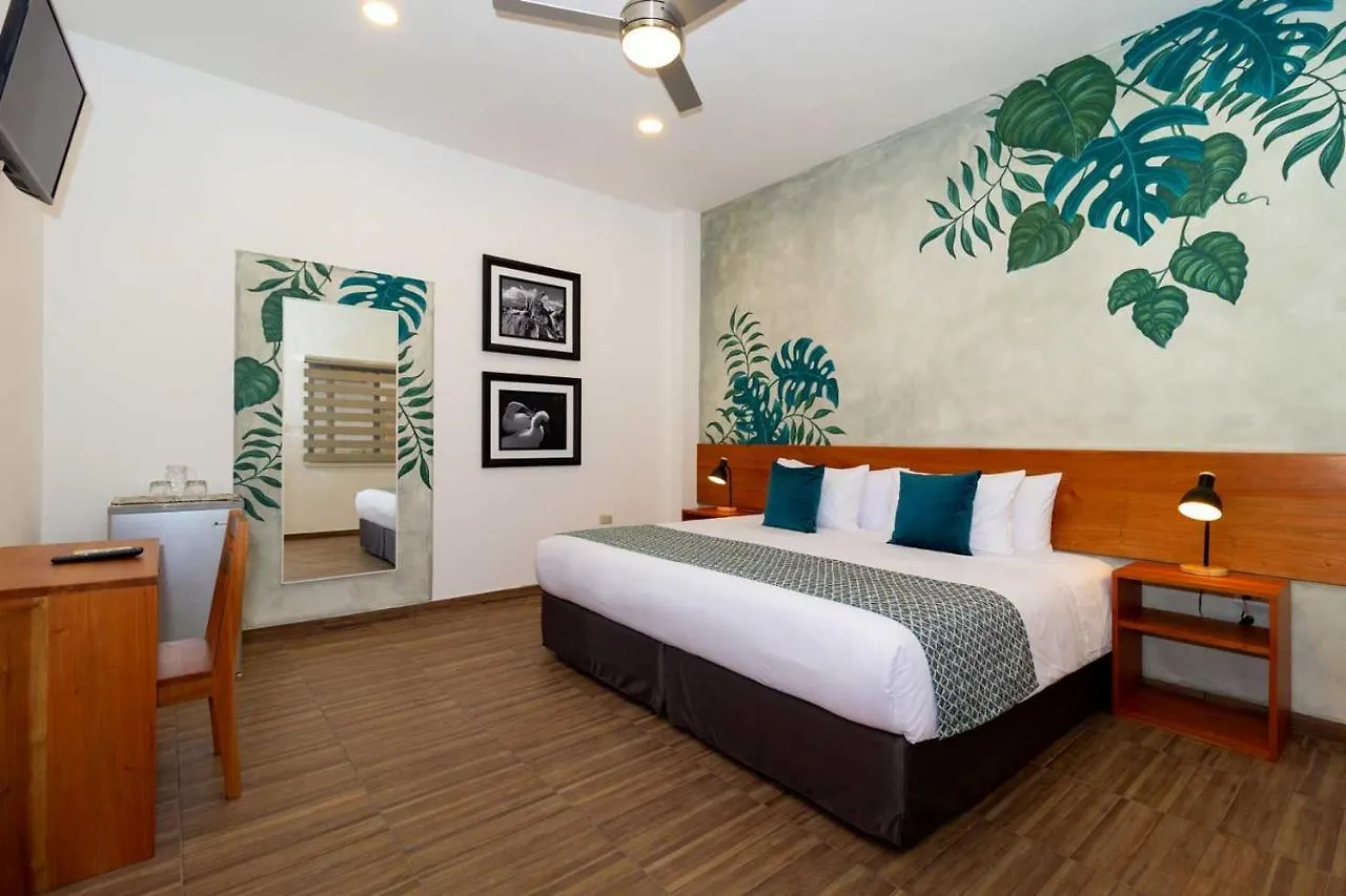 Plaza Luna Suites Puerto Ayora  Hotel Puerto Ayora (Galapagos Islands)